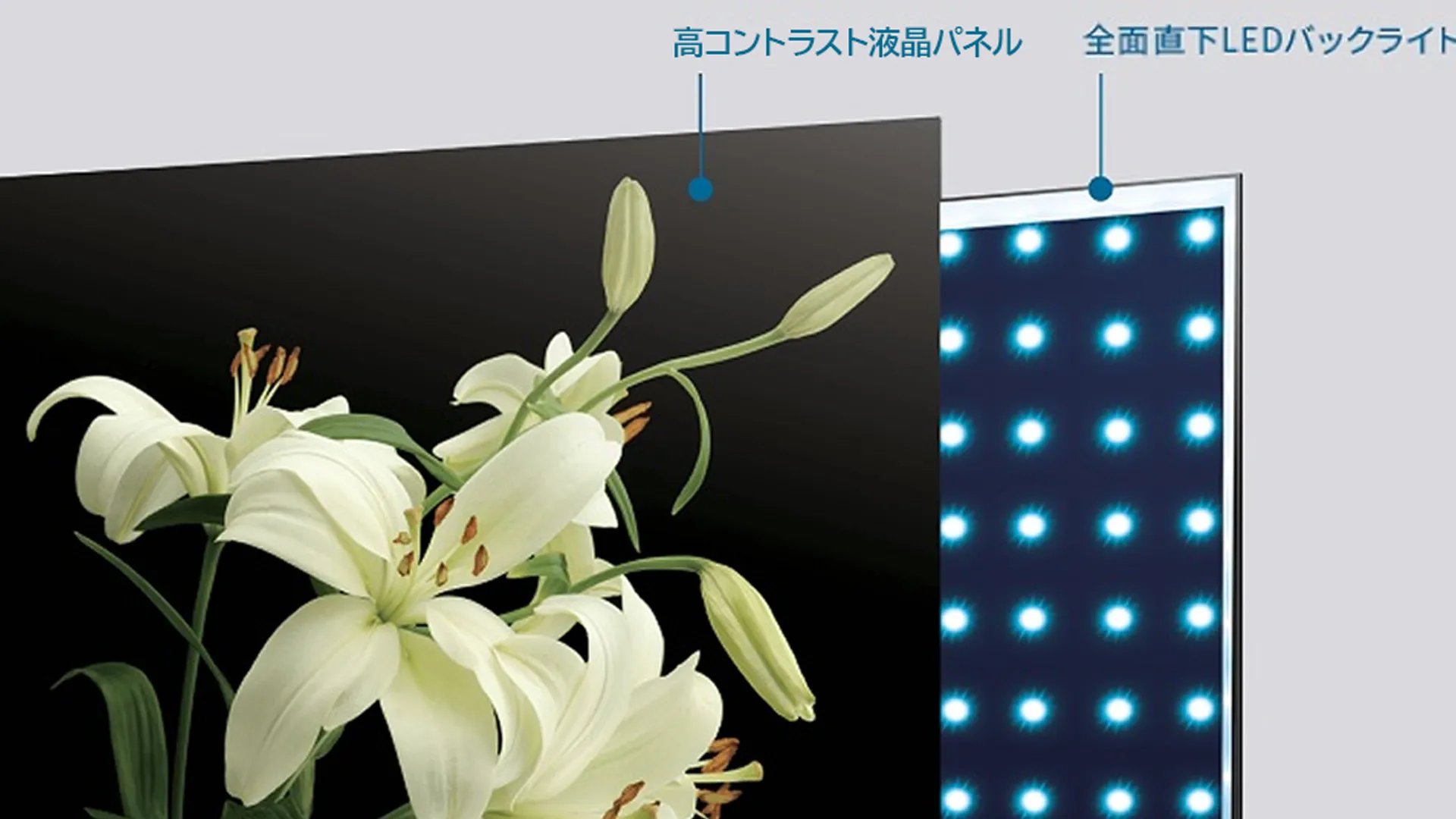 2_LEDバックライト