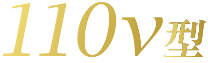110v型