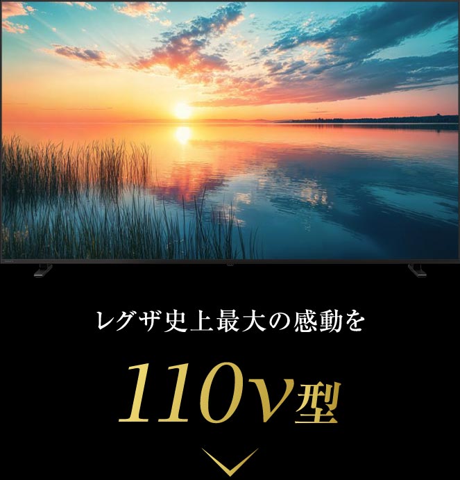 レグザ史上最大の感動を 110v型